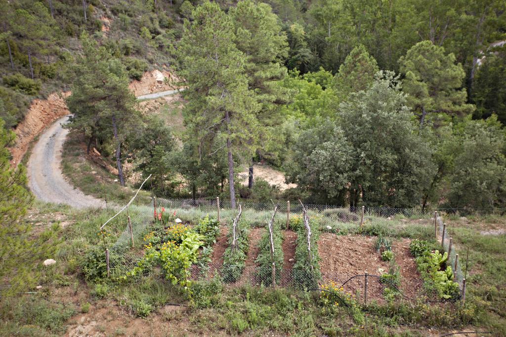 Masia Ca L'Anima Hotel La Baronia de Rialb Værelse billede