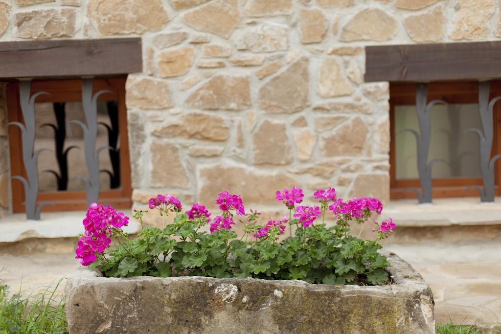 Masia Ca L'Anima Hotel La Baronia de Rialb Værelse billede